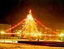 В Казани зажигаются новогодние елки